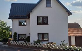 gemütliche große Wohnung in ruhiger Lage